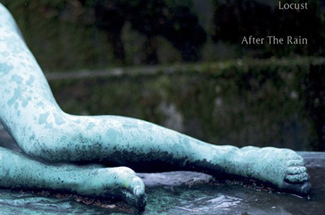 locust-after-the-rain-album-august-2014