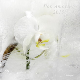 kompaktcd120-pop_ambient15