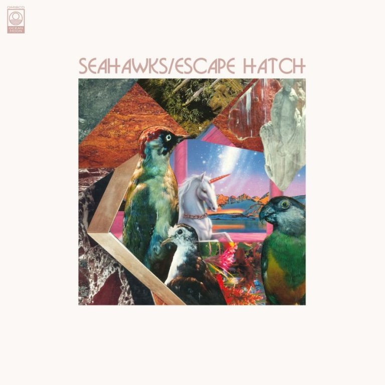 Seahawks-Escape-Hatch-LARGE